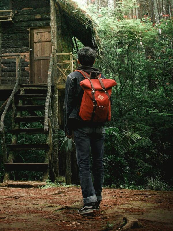 CARGA BATCH MULTI-IEPS ANEXO 2